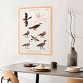 Oiseaux des tombes de Nevoethph et Menothph Canvas Print
