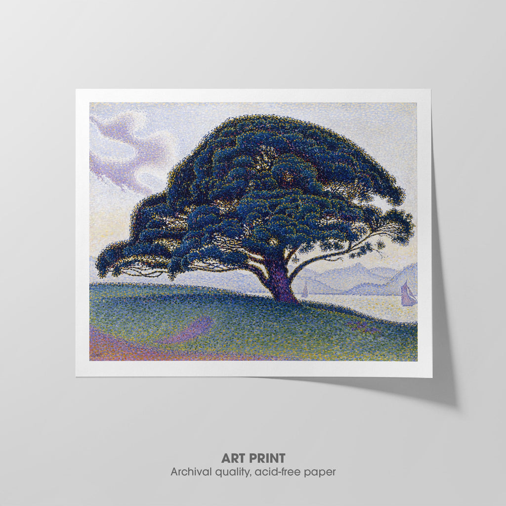 The Bonaventure Pine Canvas Print