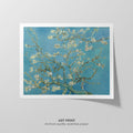Almond Blossom Canvas Print