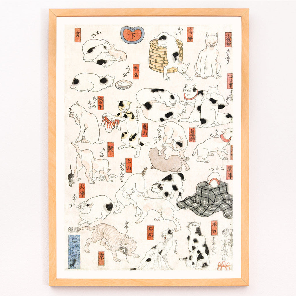 Chats Canvas Print