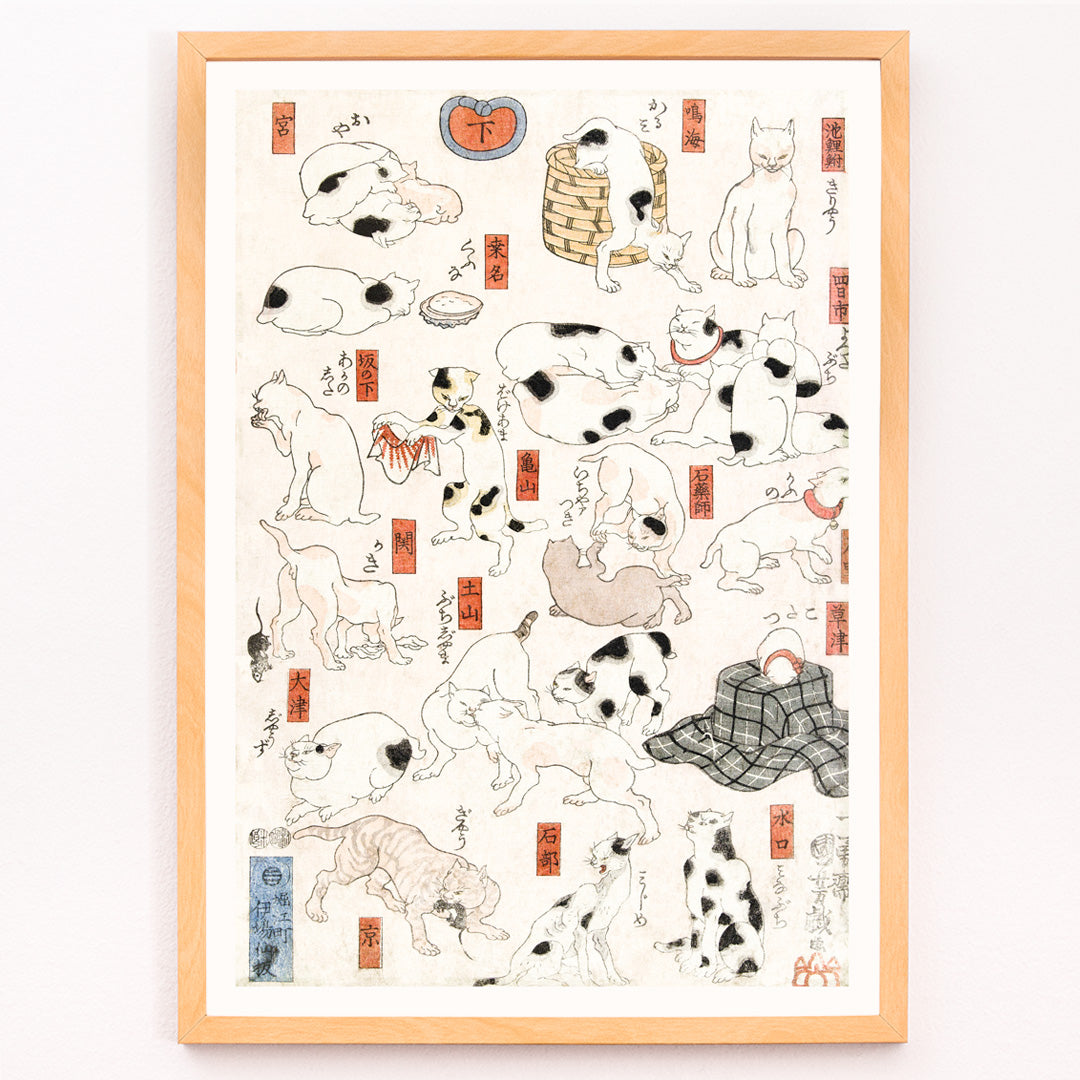Chats Canvas Print