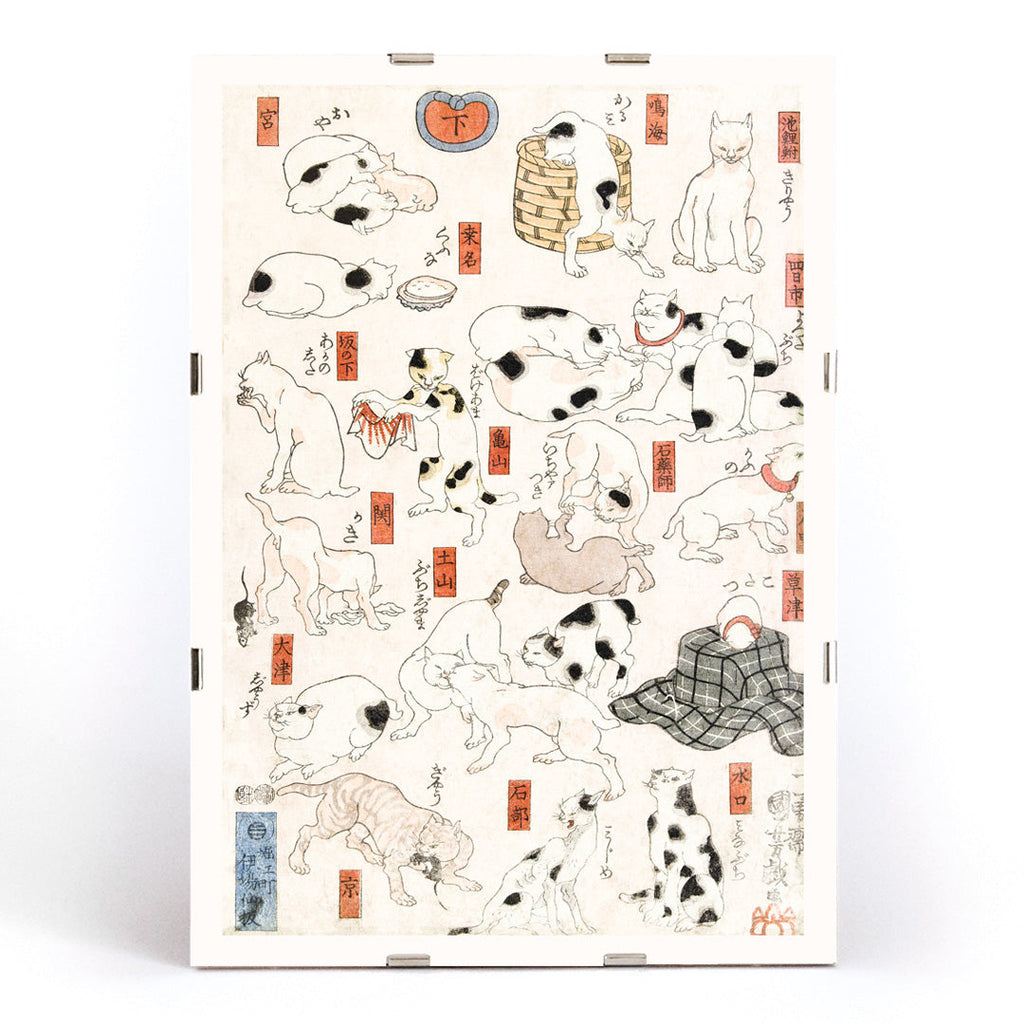 Chats Canvas Print