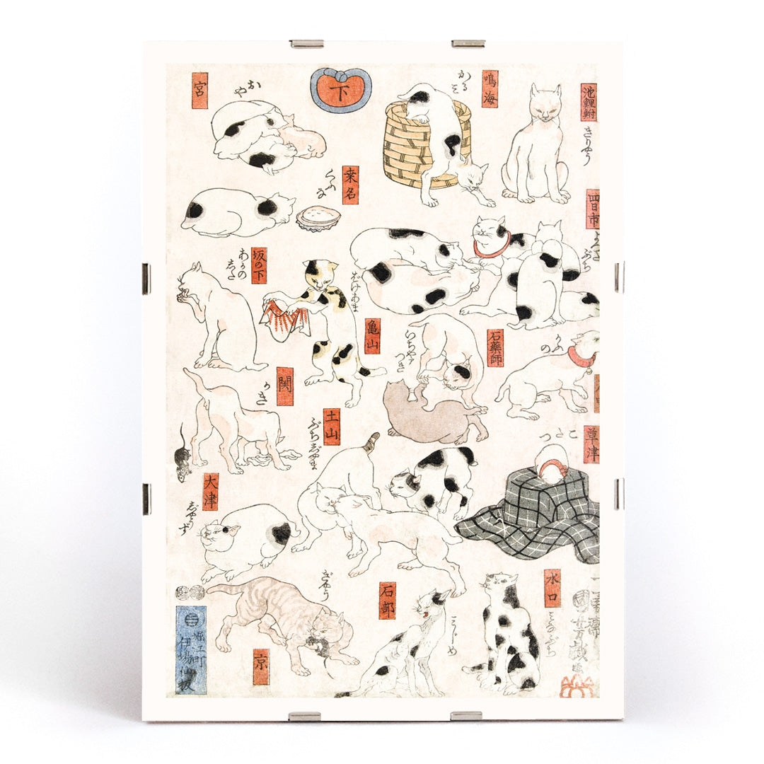 Chats Canvas Print