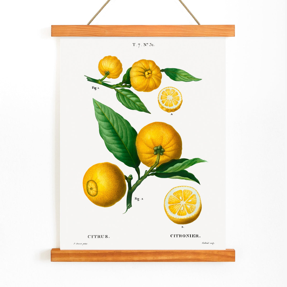 Agrumes Canvas Print