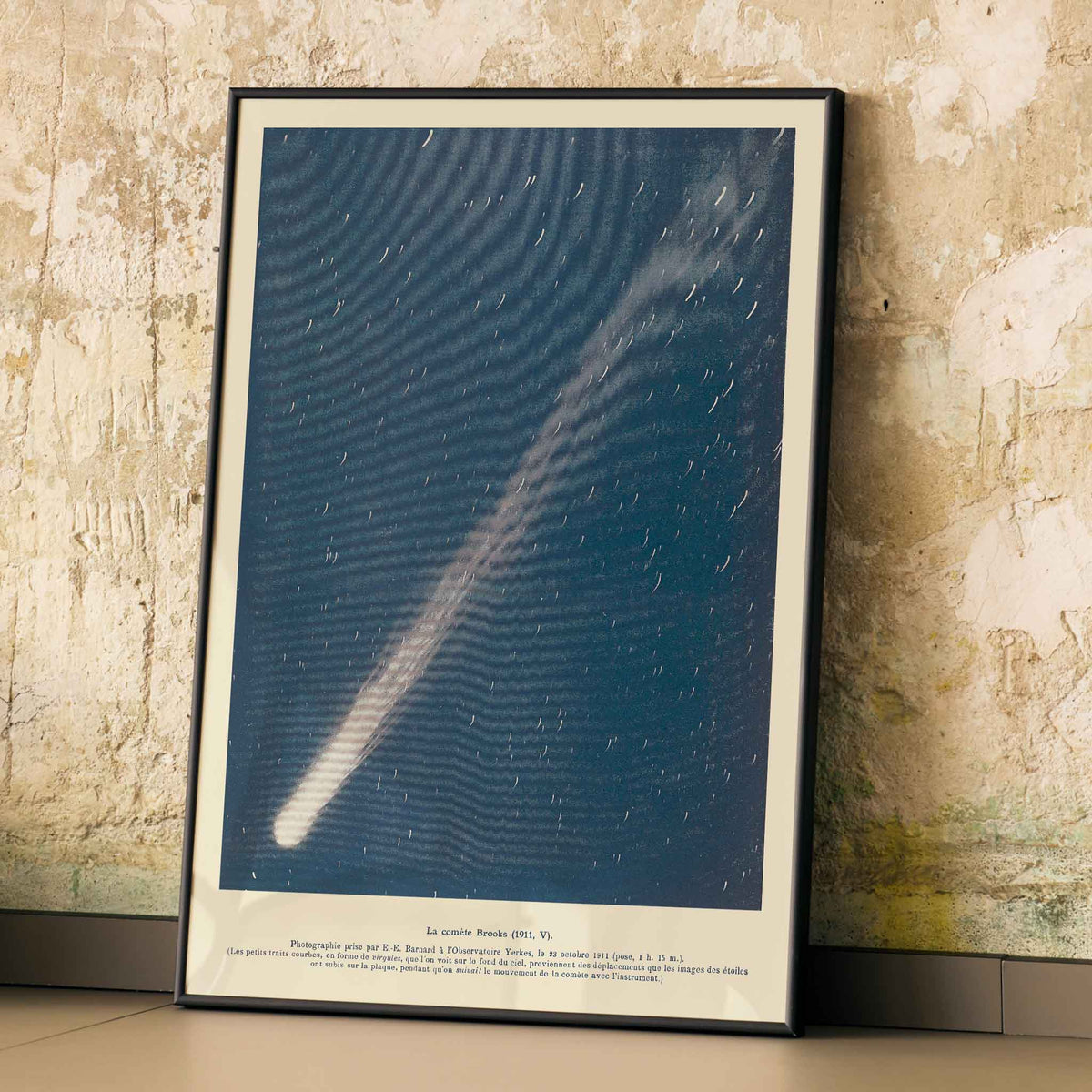 Comète Brooks Canvas Print