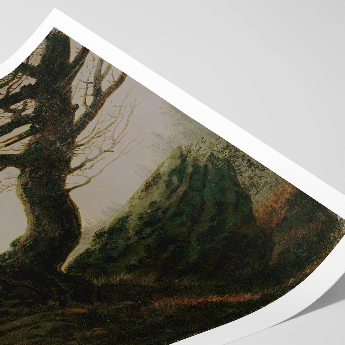 Contemplating the Moon Canvas Print