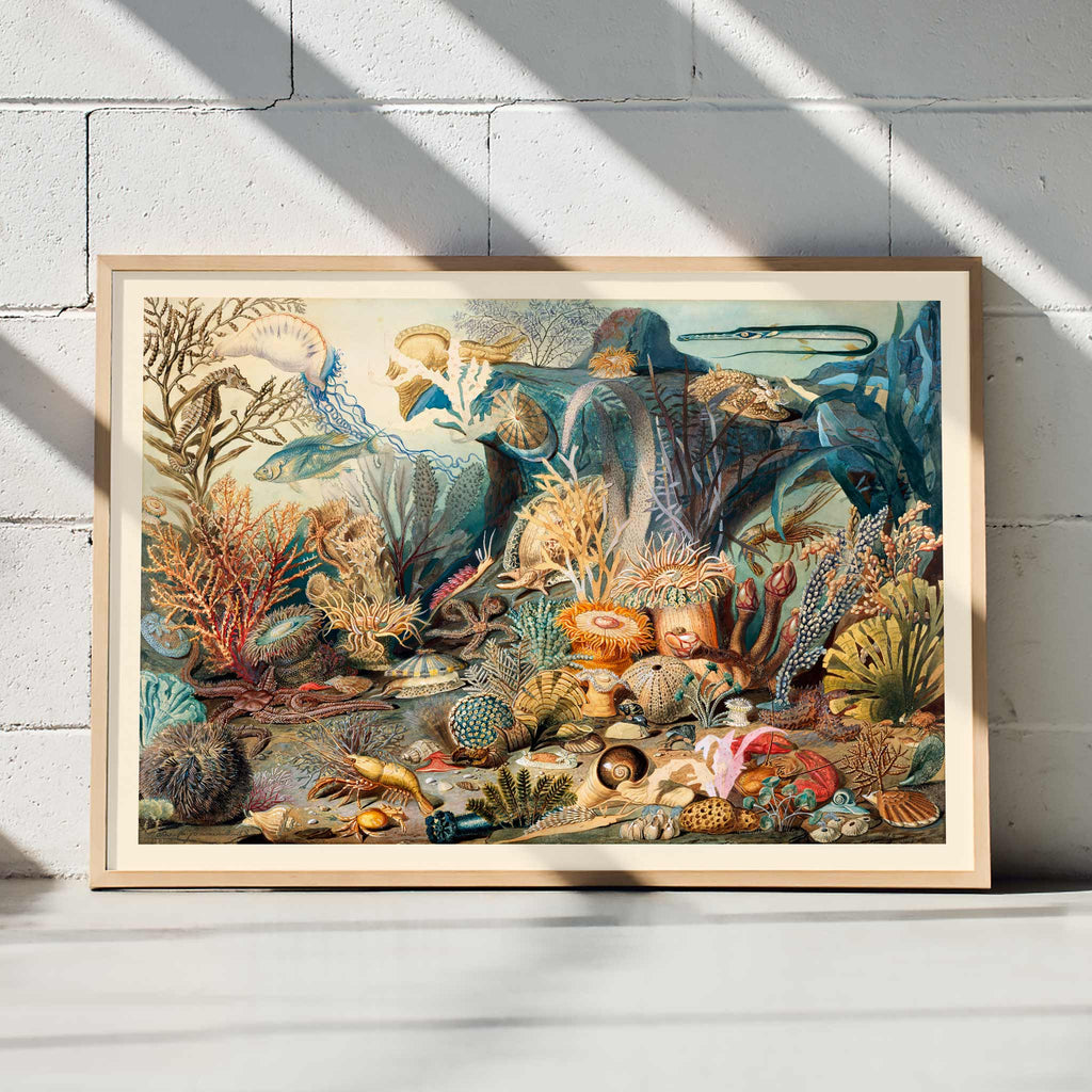Vie marine Canvas Print