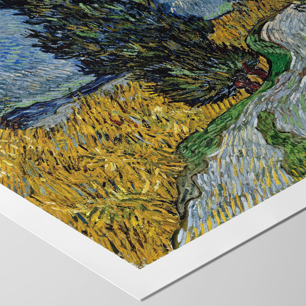 Country Road in Provence Canvas Print