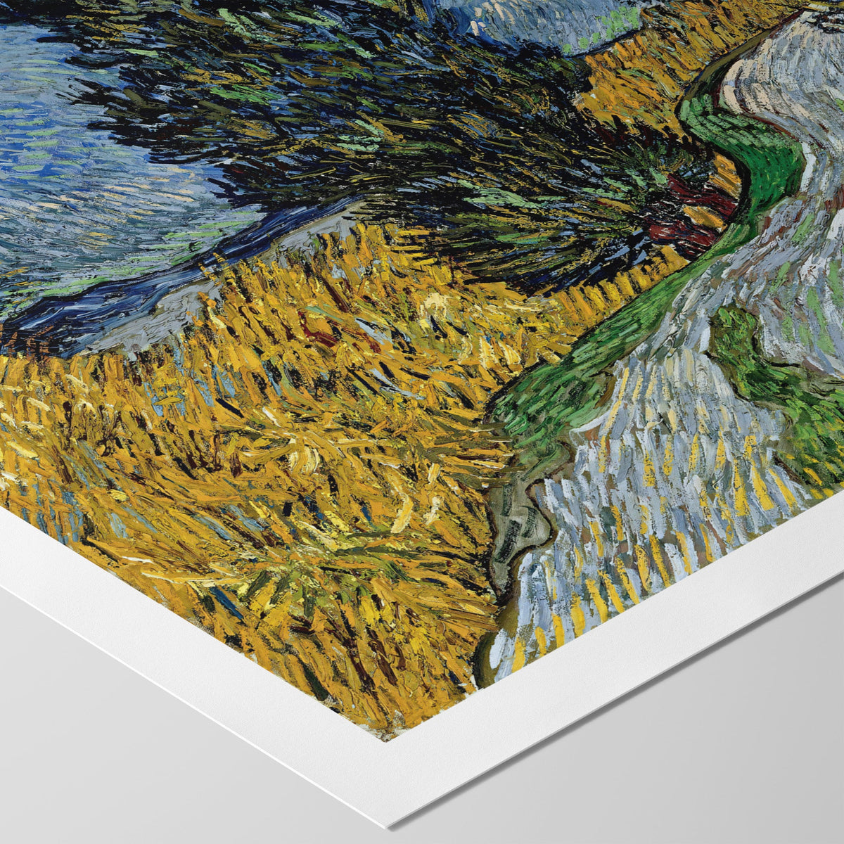 Country Road in Provence Canvas Print