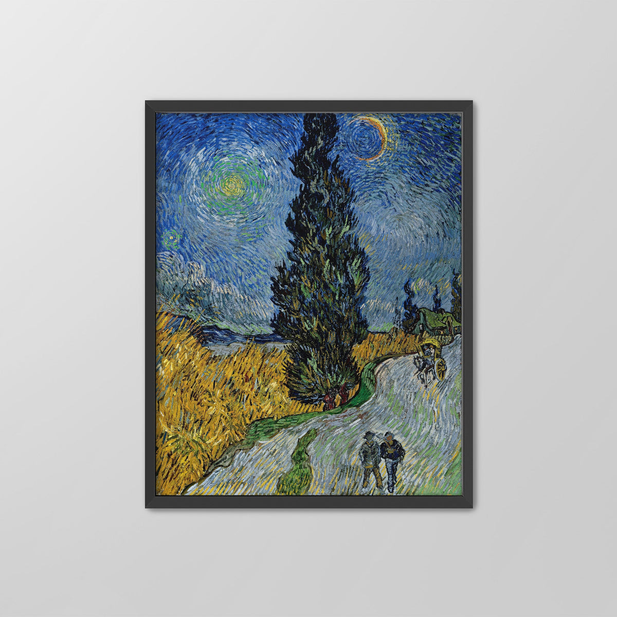 Country Road in Provence Canvas Print