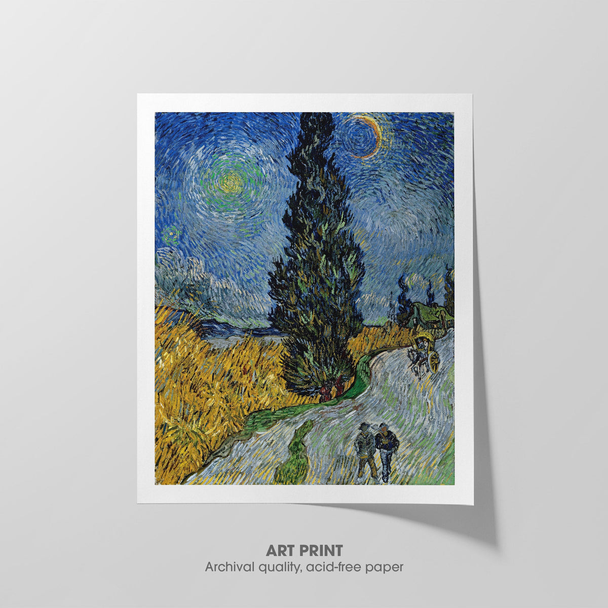 Country Road in Provence Canvas Print