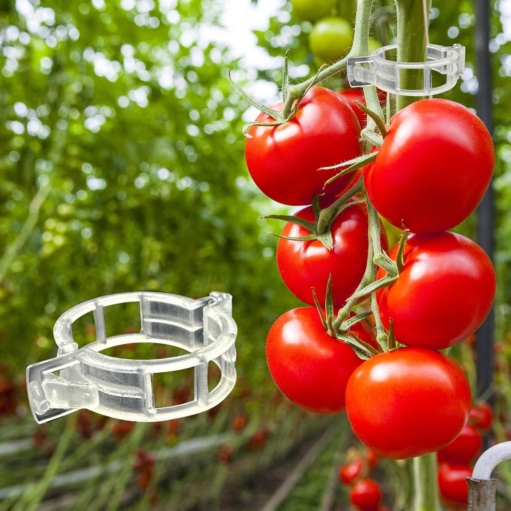 300Pcs Heavy-Duty Tomato Trellis Clips