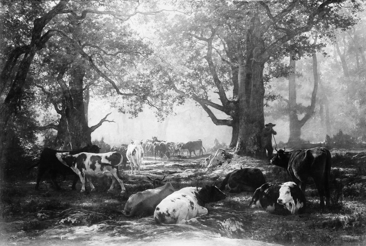 Environs of Fontainebleau Woodland and Cattle by Auguste-François Bonheur - Oil Painting canvas print