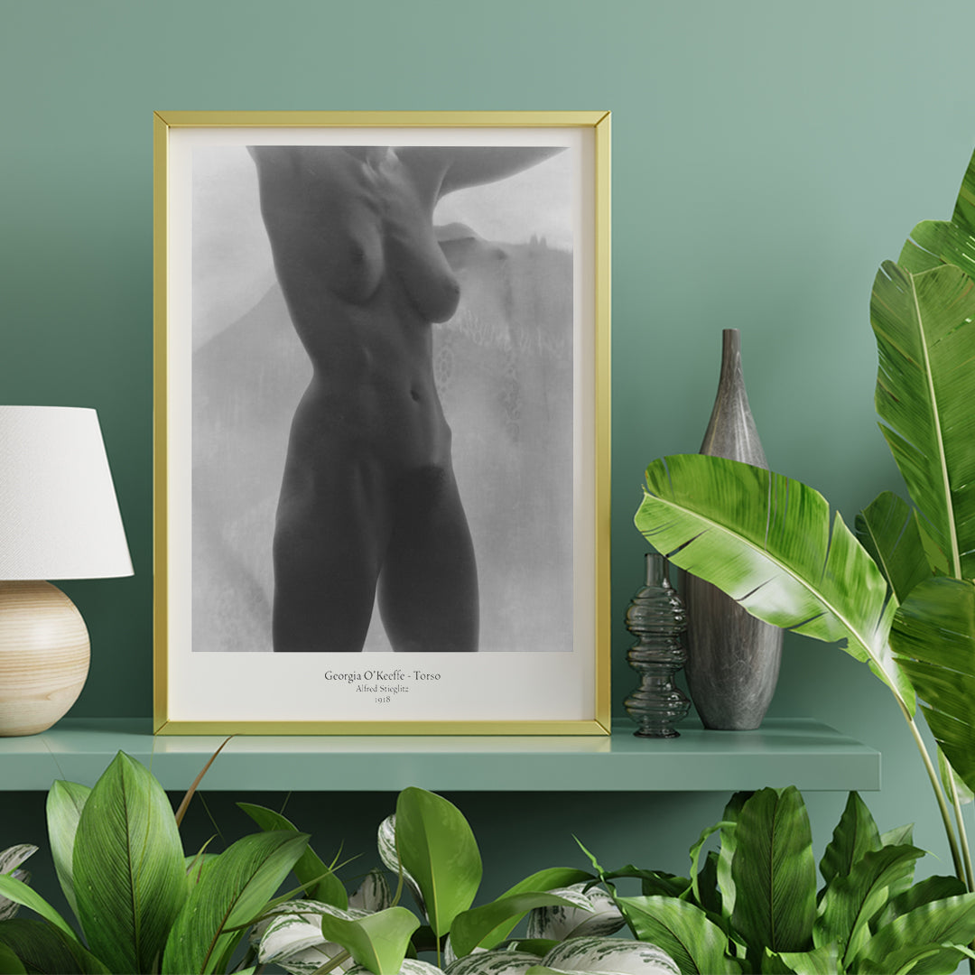 Torse de Georgia O'Keeffe Canvas Print