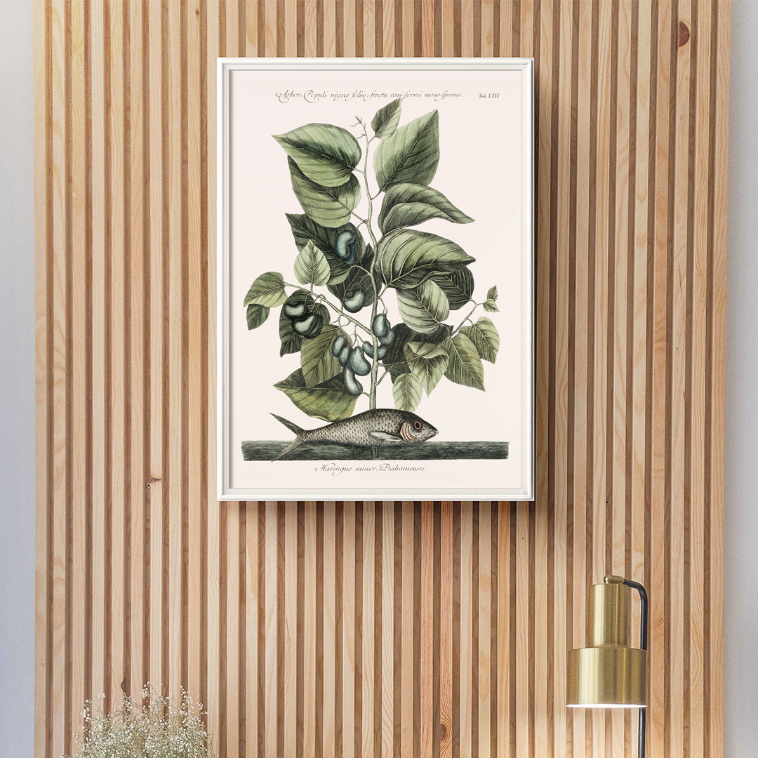 Sardine Canvas Print