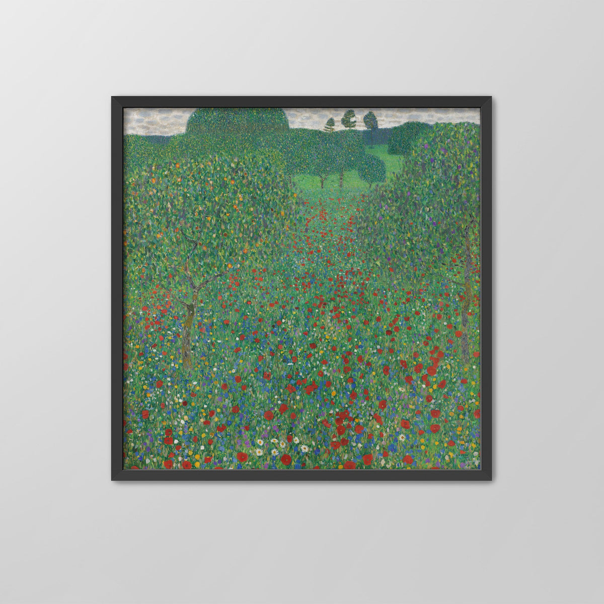Flowering Poppies Canvas Print