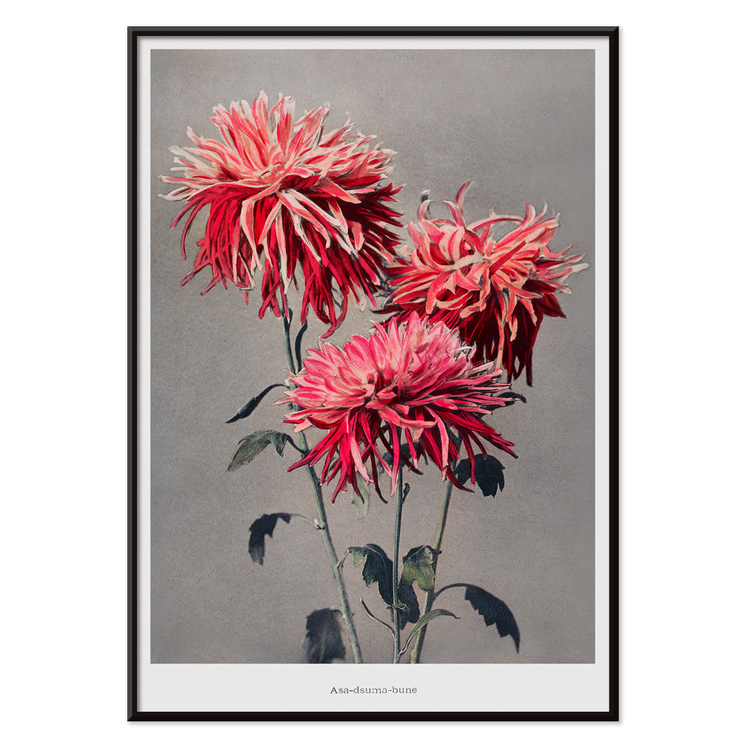 Asa-dsuma-bune Canvas Print