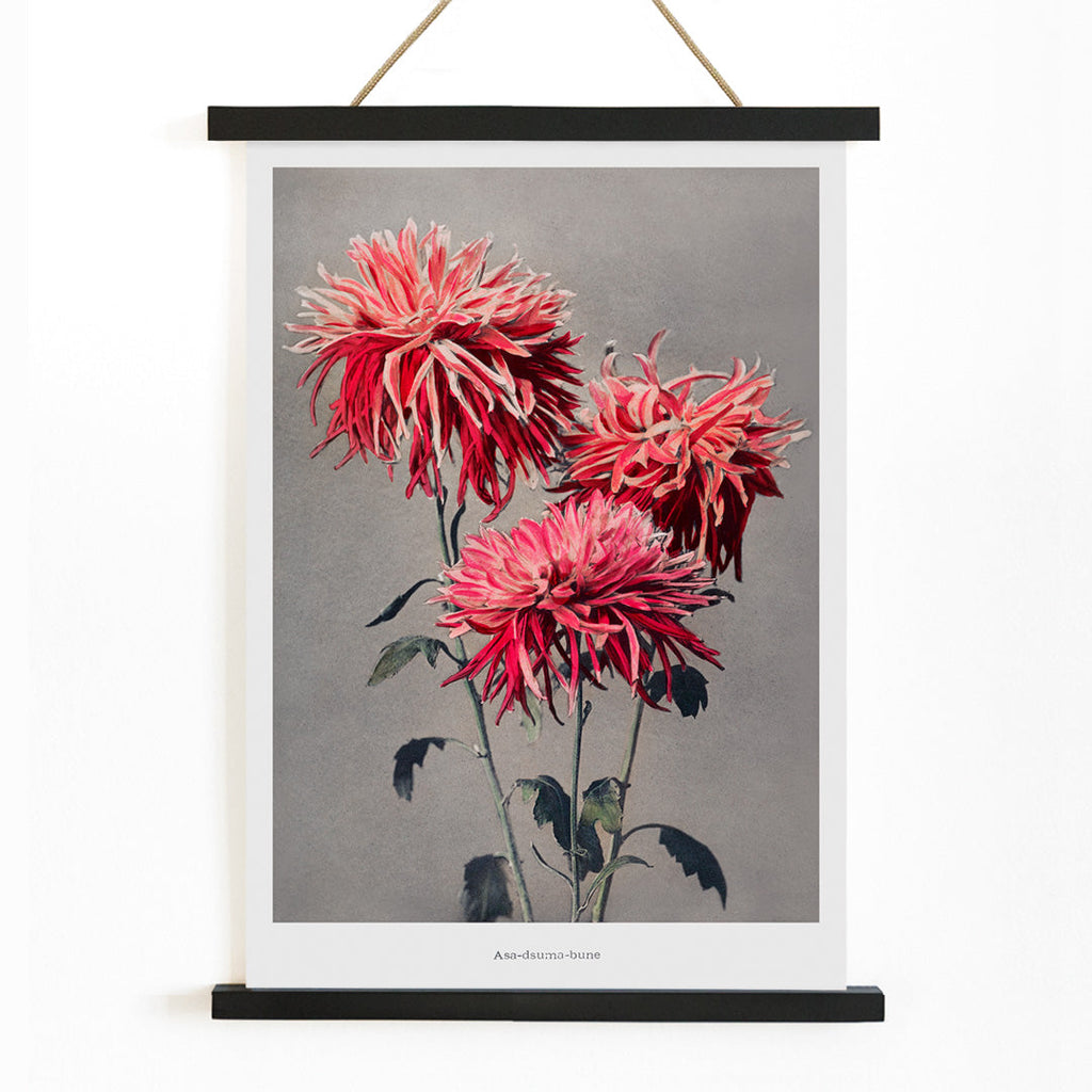 Asa-dsuma-bune Canvas Print