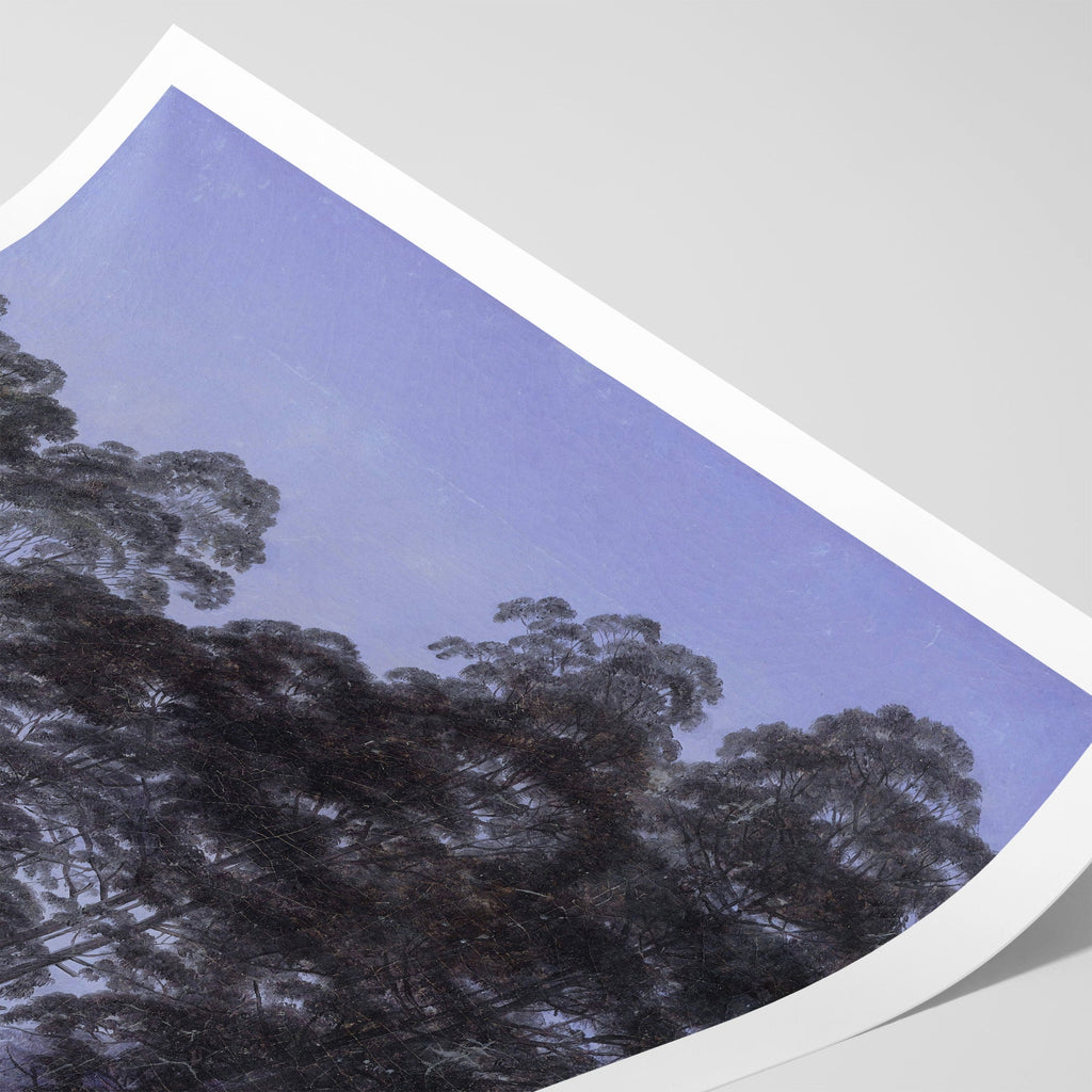 Forest Interior by Moonlight Canvas Print