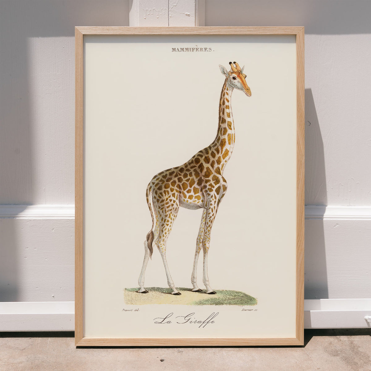 La Girafe Poster by Moryarty - Oil Painting canvas print