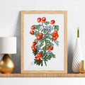 Aubépine très parfumée Canvas Print