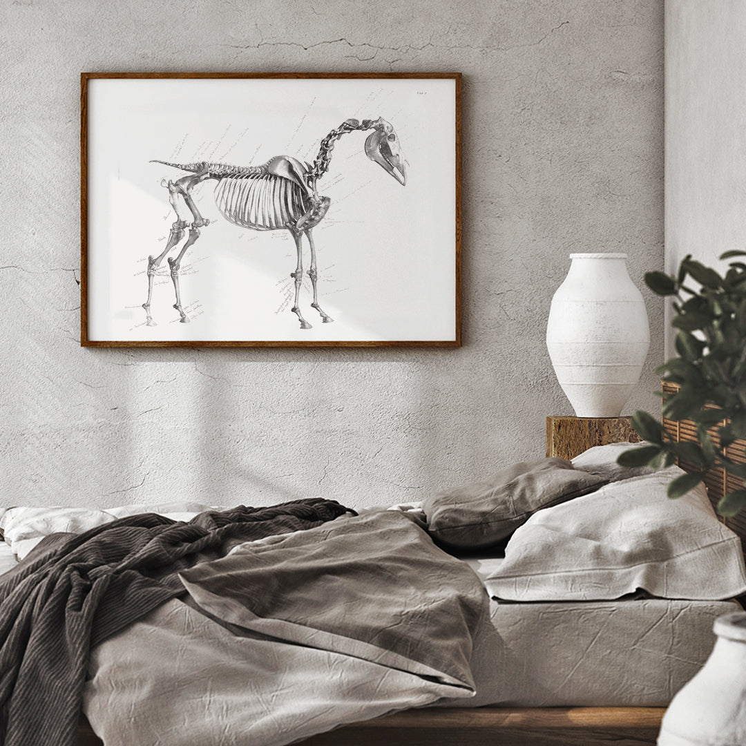 L'anatomie du cheval Poster by Moryarty - Oil Painting canvas print