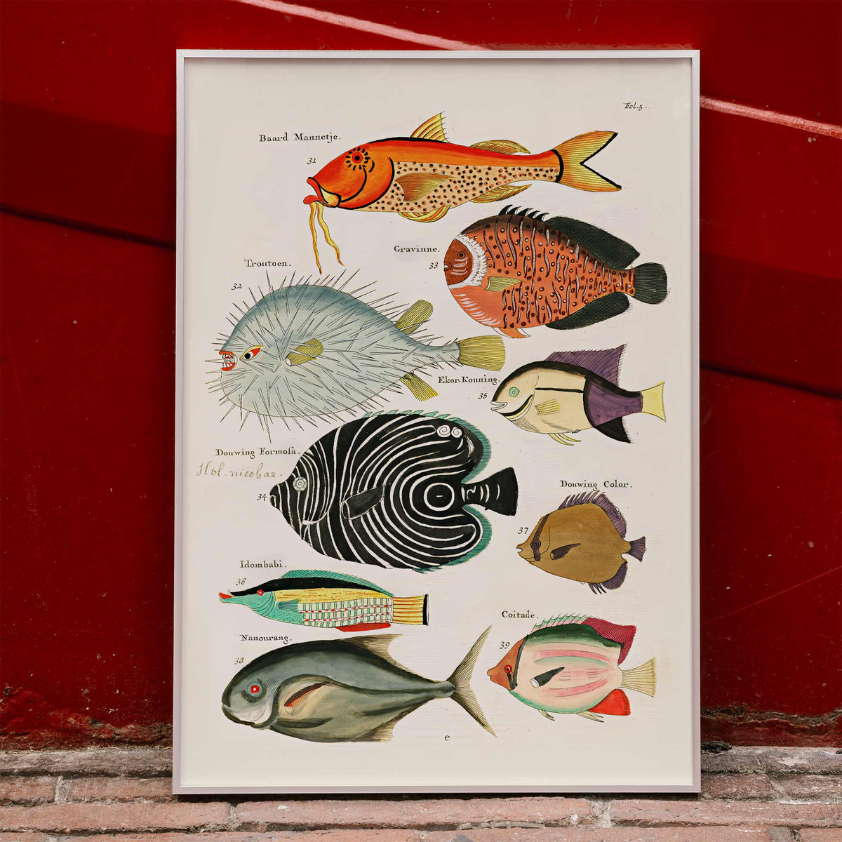 Illustrations surralistes de poissons Poster by Moryarty - Oil Painting canvas print