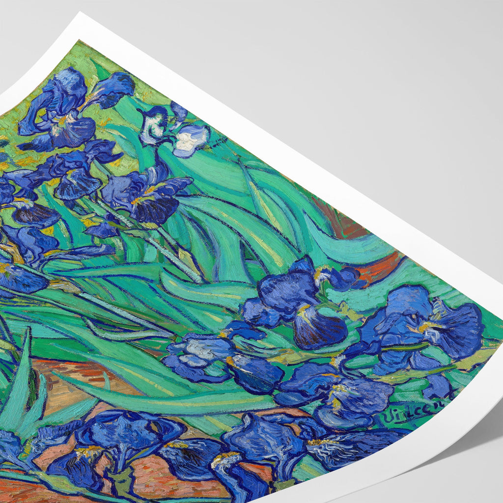 Irises Canvas Print