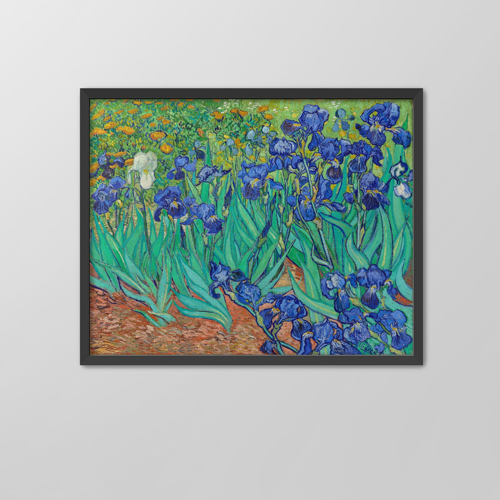 Irises Canvas Print