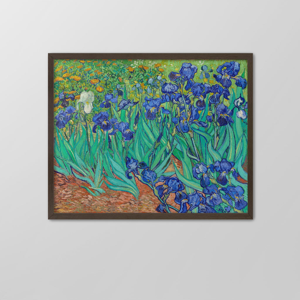 Irises Canvas Print