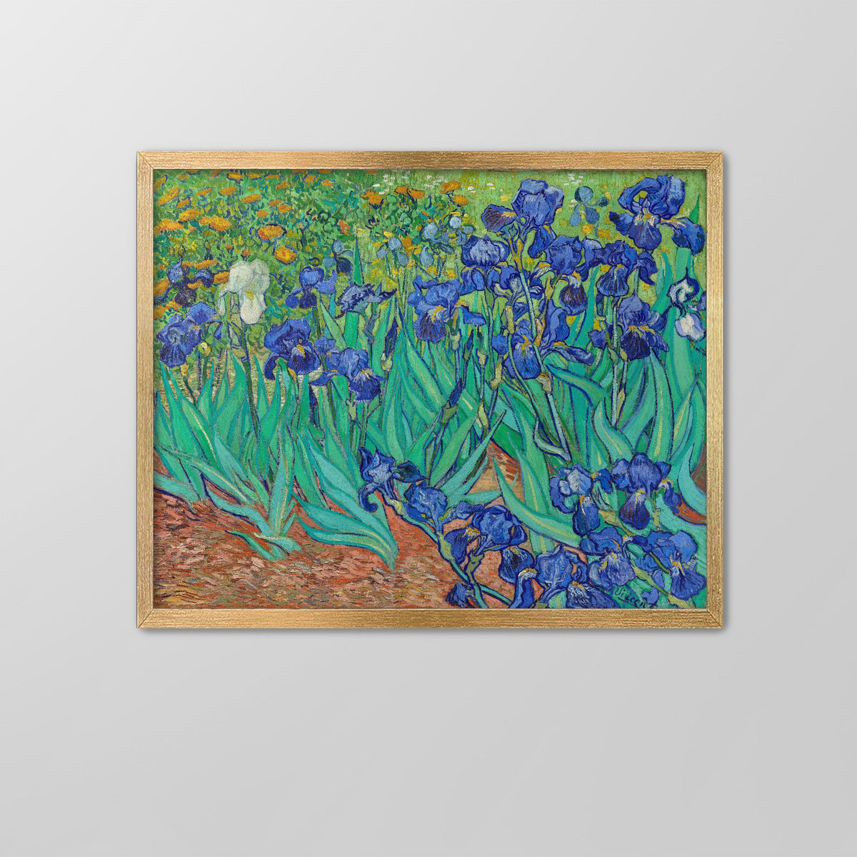 Irises Canvas Print