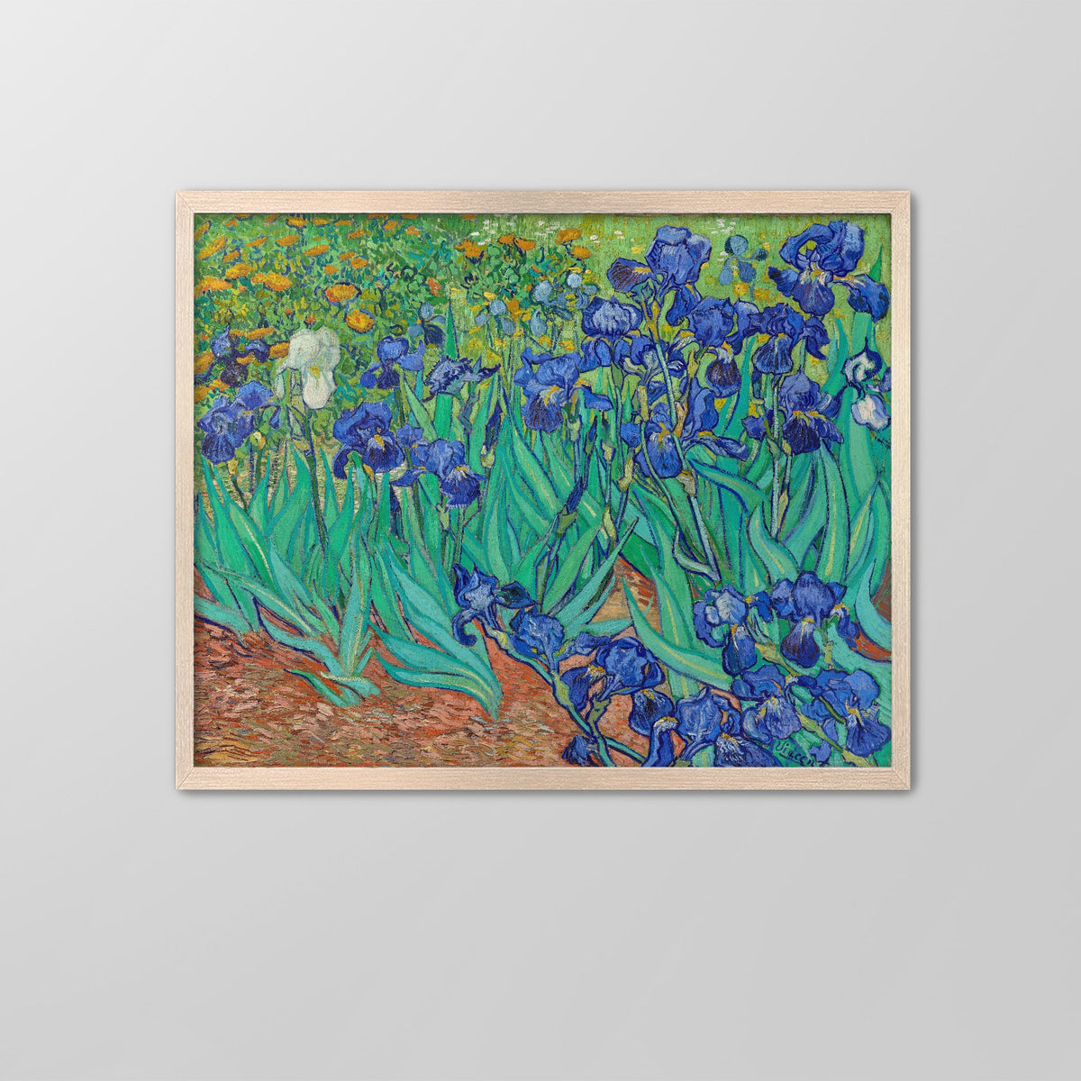 Irises Canvas Print