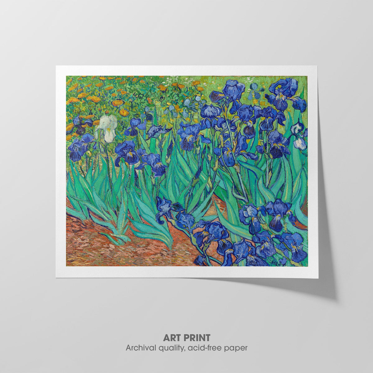 Irises  Van Gogh  Art Print by Without A Frame - Oil Painting canvas print