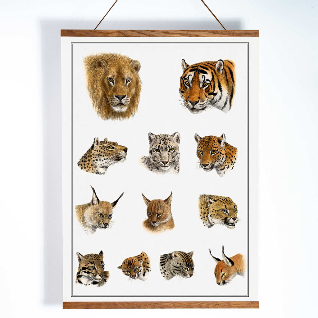 Animaux sauvages Canvas Print