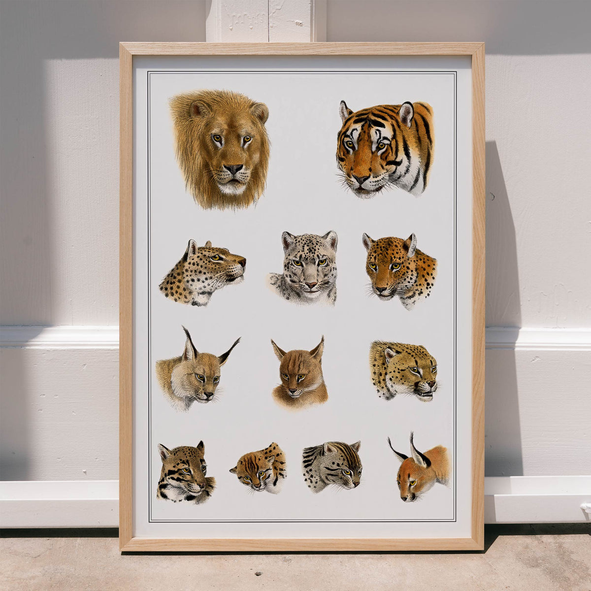 Animaux sauvages Canvas Print