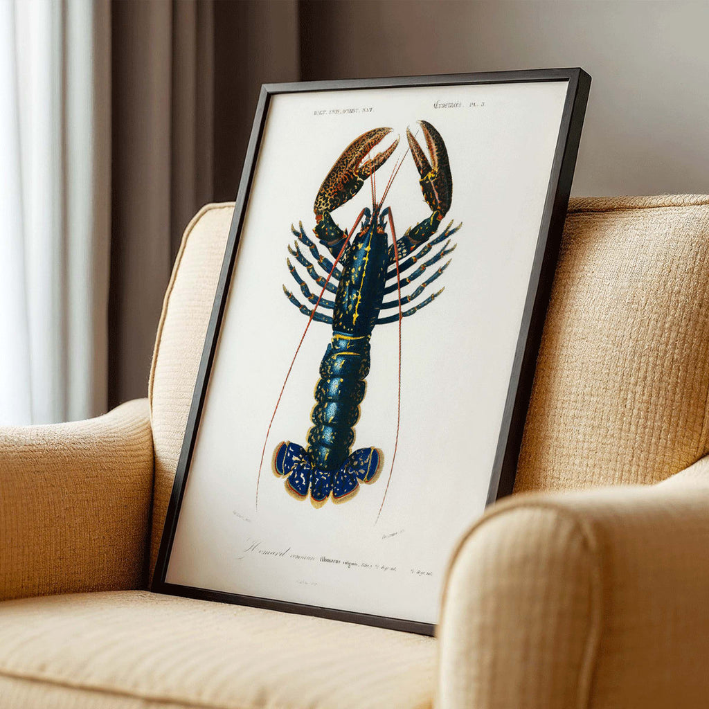 Écrevisse cramoisie Canvas Print