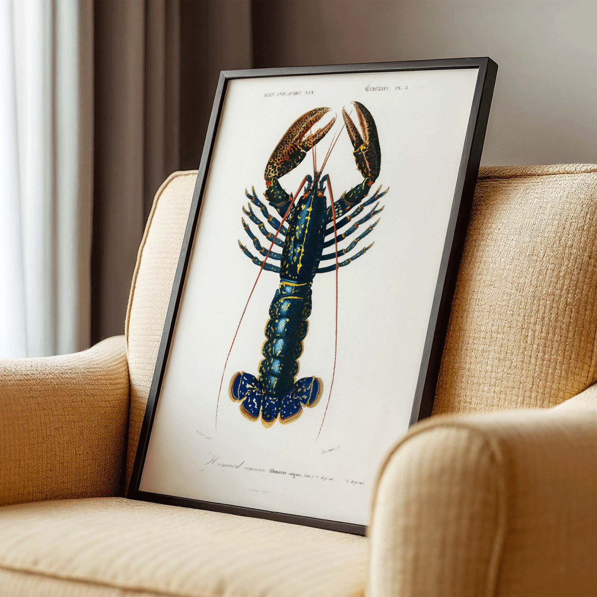 Écrevisse cramoisie Canvas Print