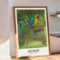 Aras bleus Canvas Print