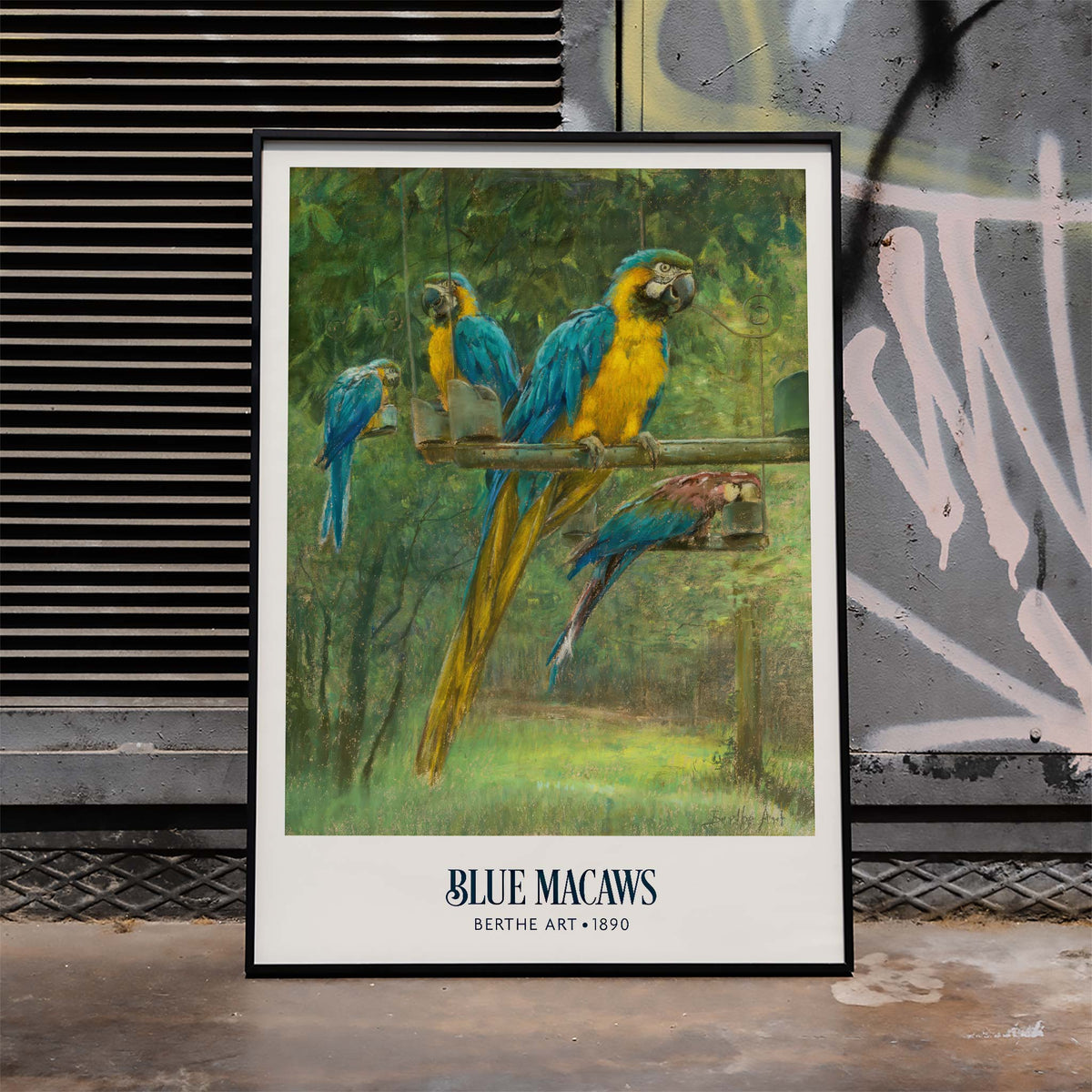 Aras bleus Canvas Print