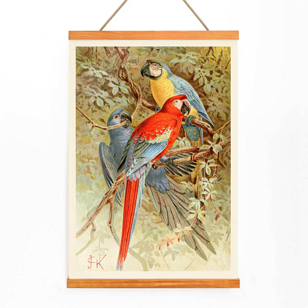 Aras Canvas Print