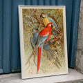 Aras Canvas Print
