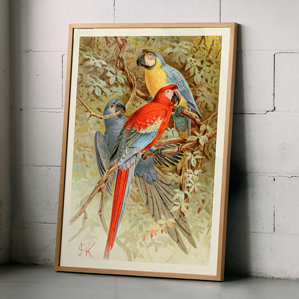 Aras Canvas Print