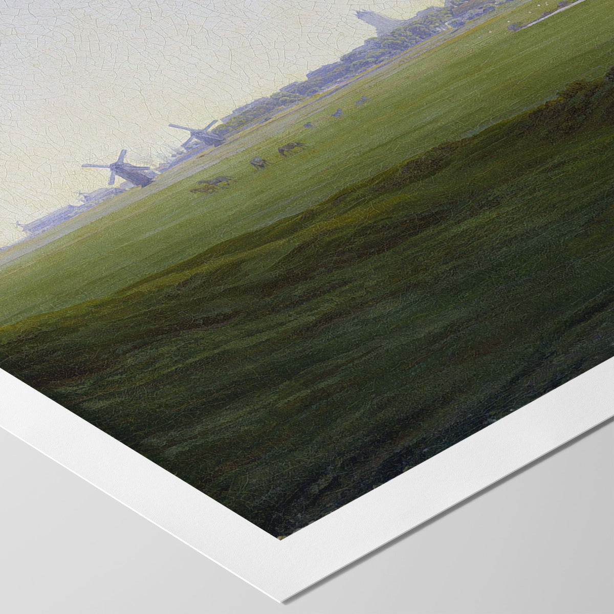 Meadows near Greifswald Canvas Print