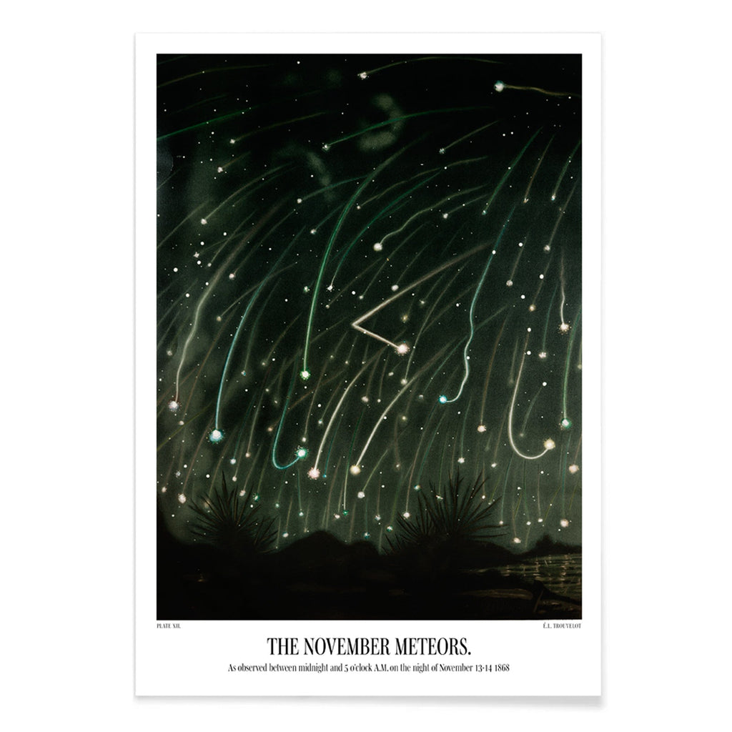 Les météores de novembre Canvas Print