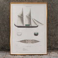 Amboine Canvas Print