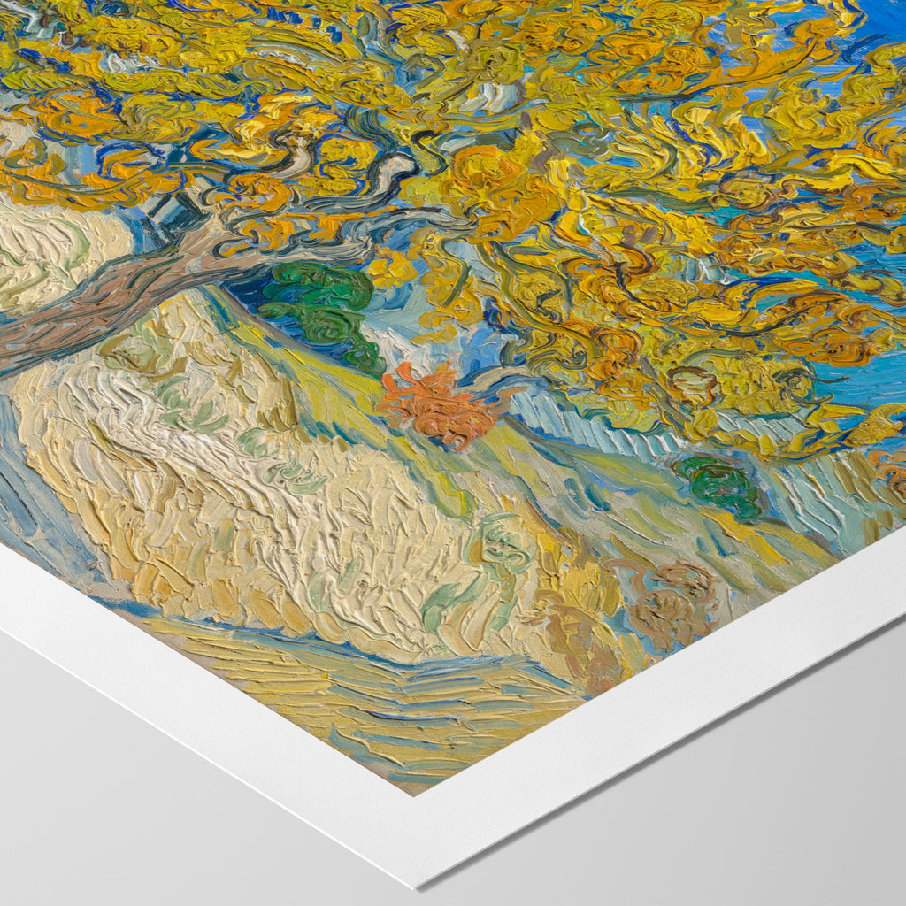 The Mulberry Tree Canvas Print