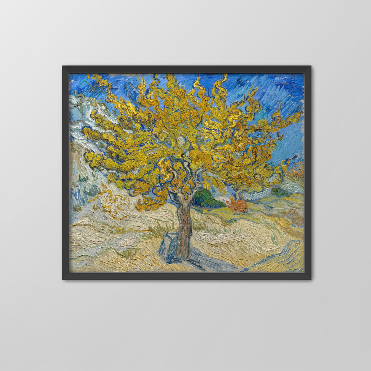 The Mulberry Tree Canvas Print