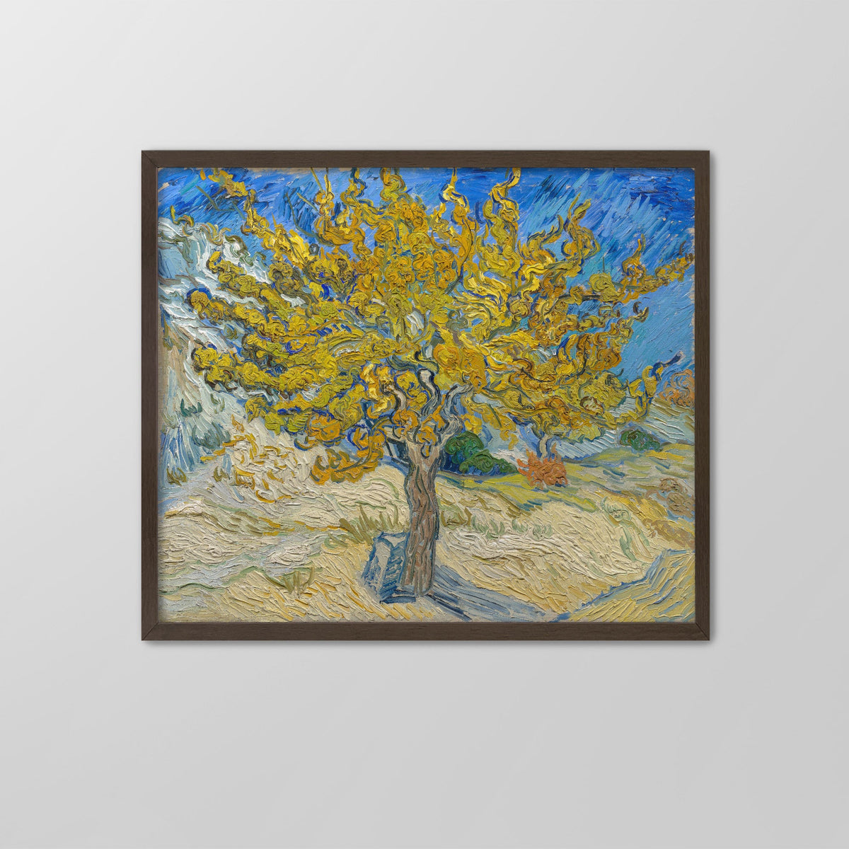 The Mulberry Tree Canvas Print