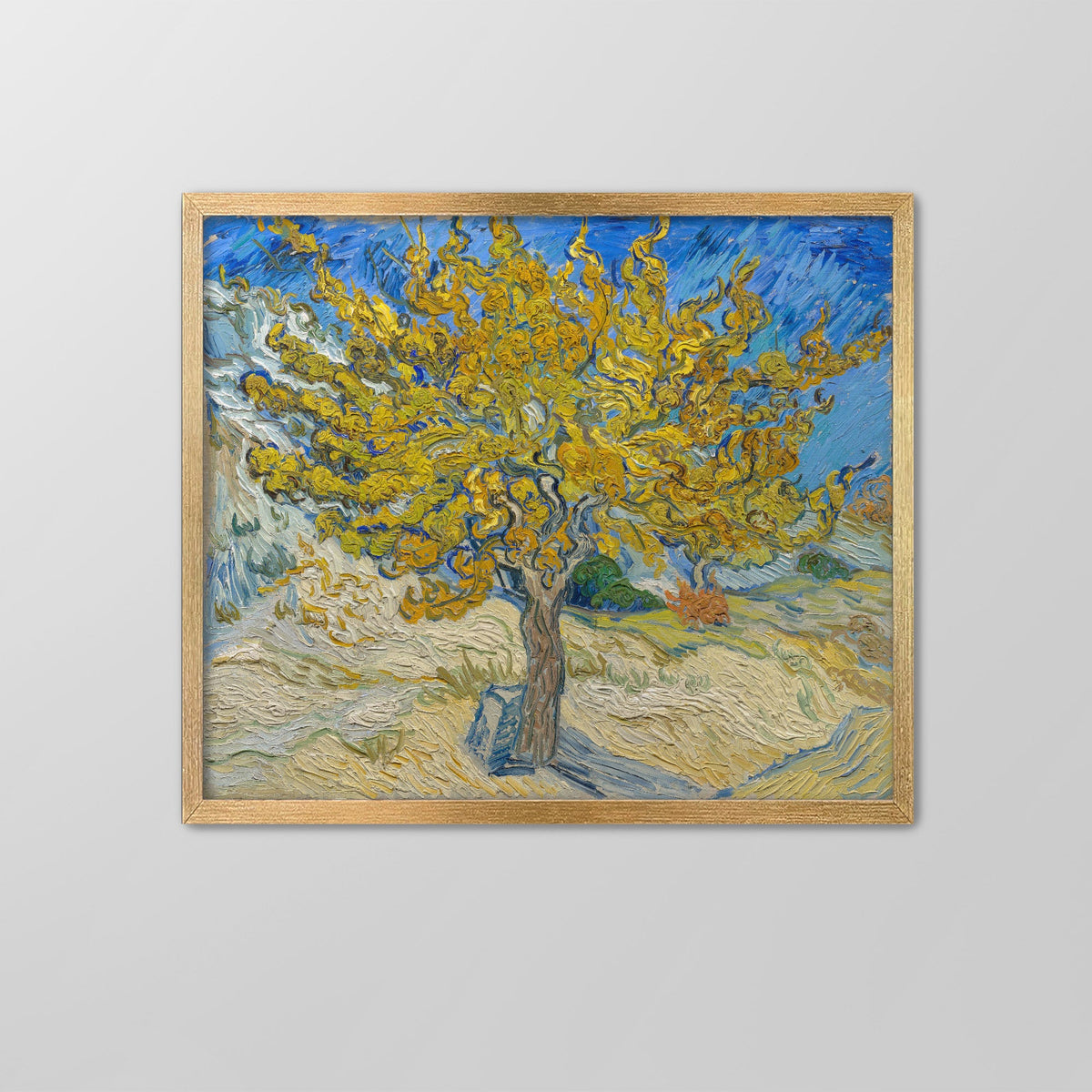 The Mulberry Tree Canvas Print