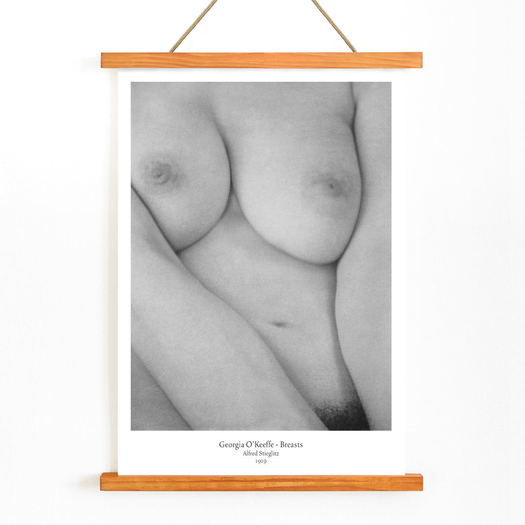 Seins de Georgia O'Keeffe Canvas Print